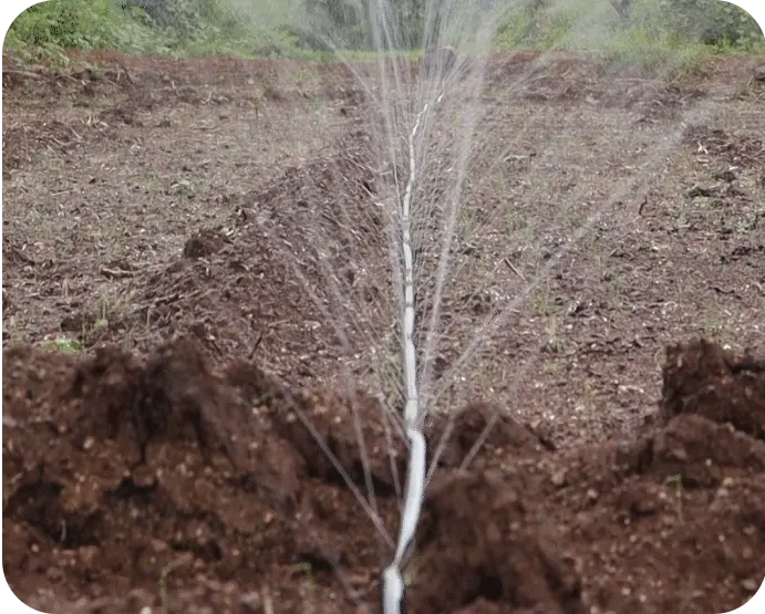 Sprinkler water system