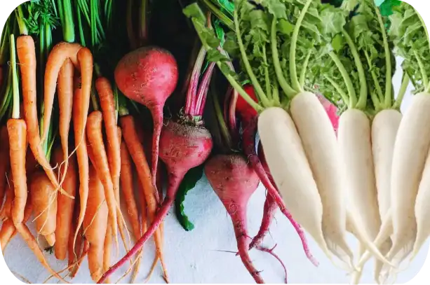radish