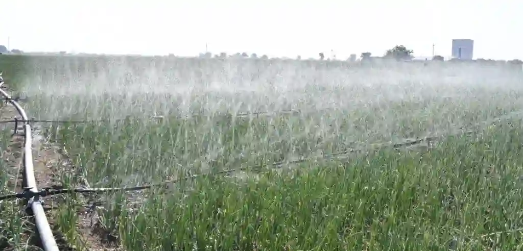DT-Rain Kit operating in the field