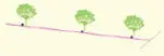 Single-Lateral