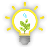 Bulb