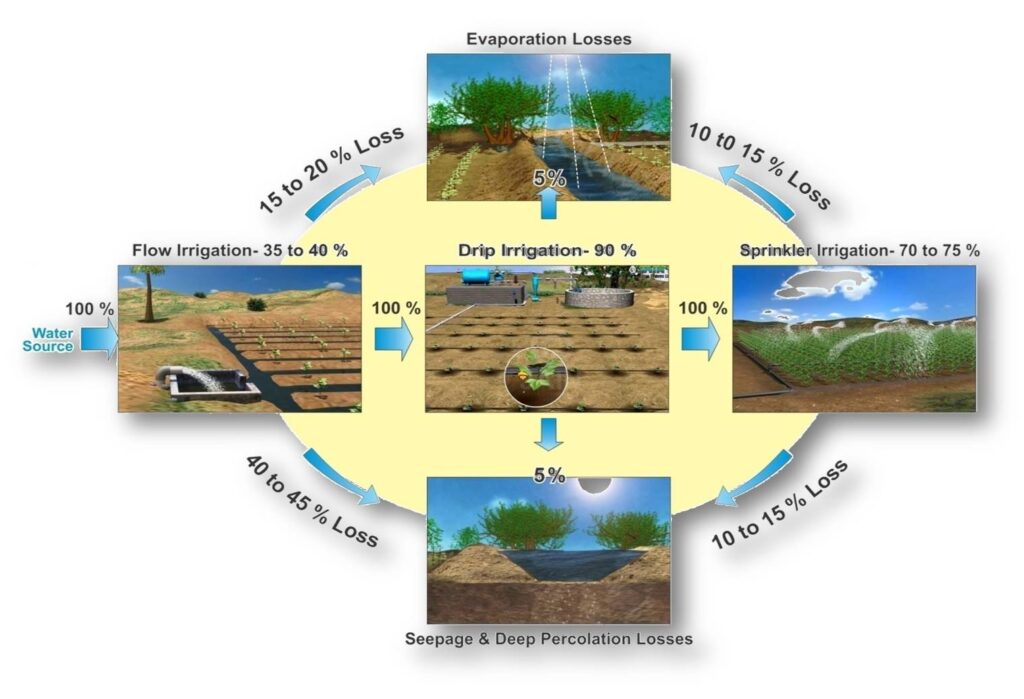 Water Losses in Different Irrigation Method
