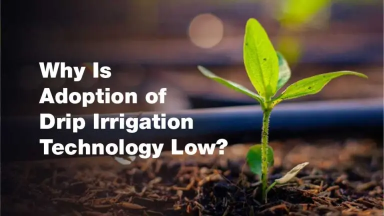 Why Is Adoption of Drip Irrigation Technology Low.