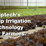 Why Is Adoption of Drip Irrigation Technology Low