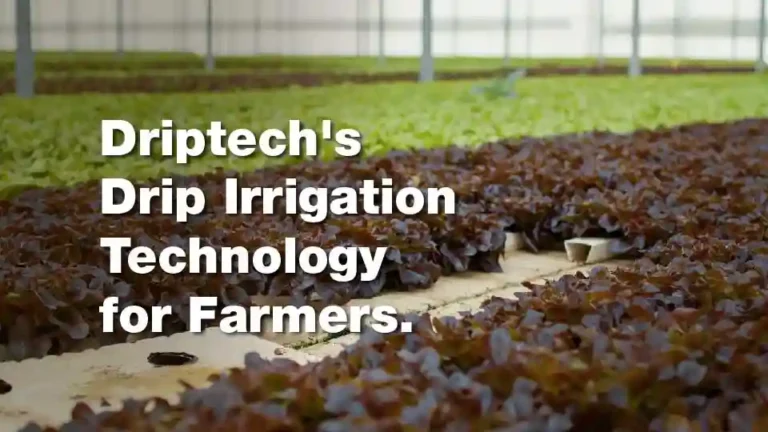 Why Is Adoption of Drip Irrigation Technology Low