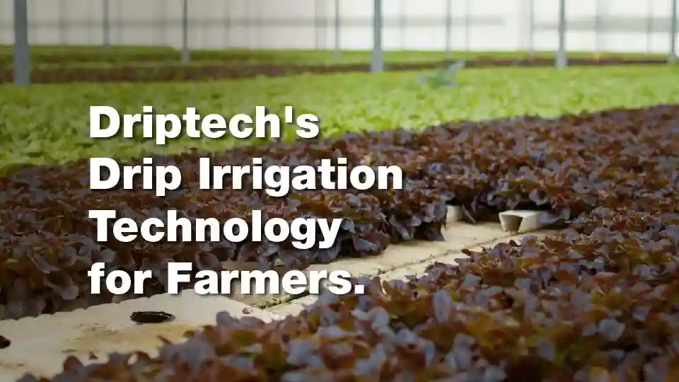 Why Is Adoption of Drip Irrigation Technology Low