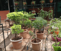 Drip Irrigation Kit for Terrace