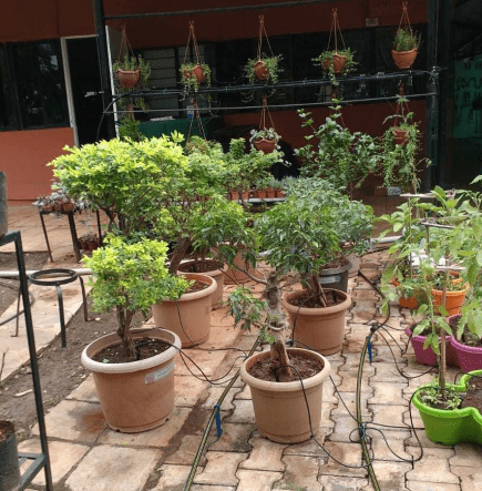 Drip Irrigation Kit for Terrace