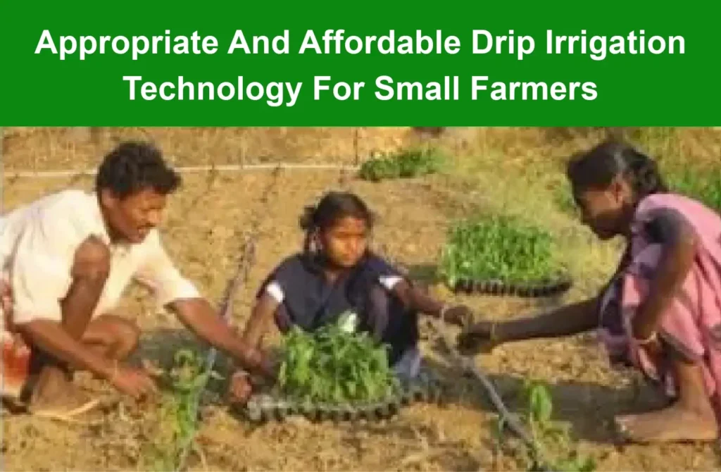 Drip Irrigation Technology for Small Farmers
