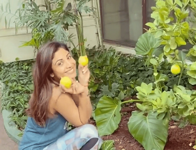 Shilpa Shetty With Fruits