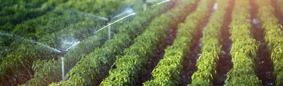 sprinkler